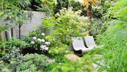 Un jardin japonais contemporain au cœur de Londres
