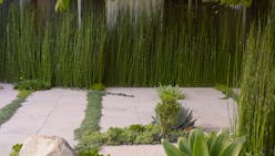 En Californie, un spectaculaire jardin de plantes grasses