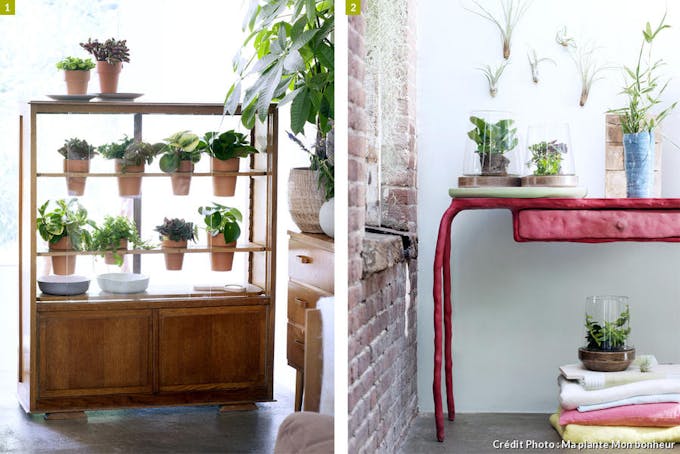 Des meubles pour plantes d'intérieur