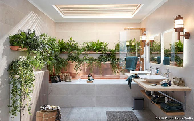 Gouttières botaniques dans une salle de bains