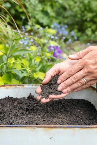 Utiliser correctement le compost dans le jardin - Mon Jardin Ideal