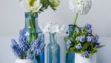 Jolis vases pour fleurs coupées