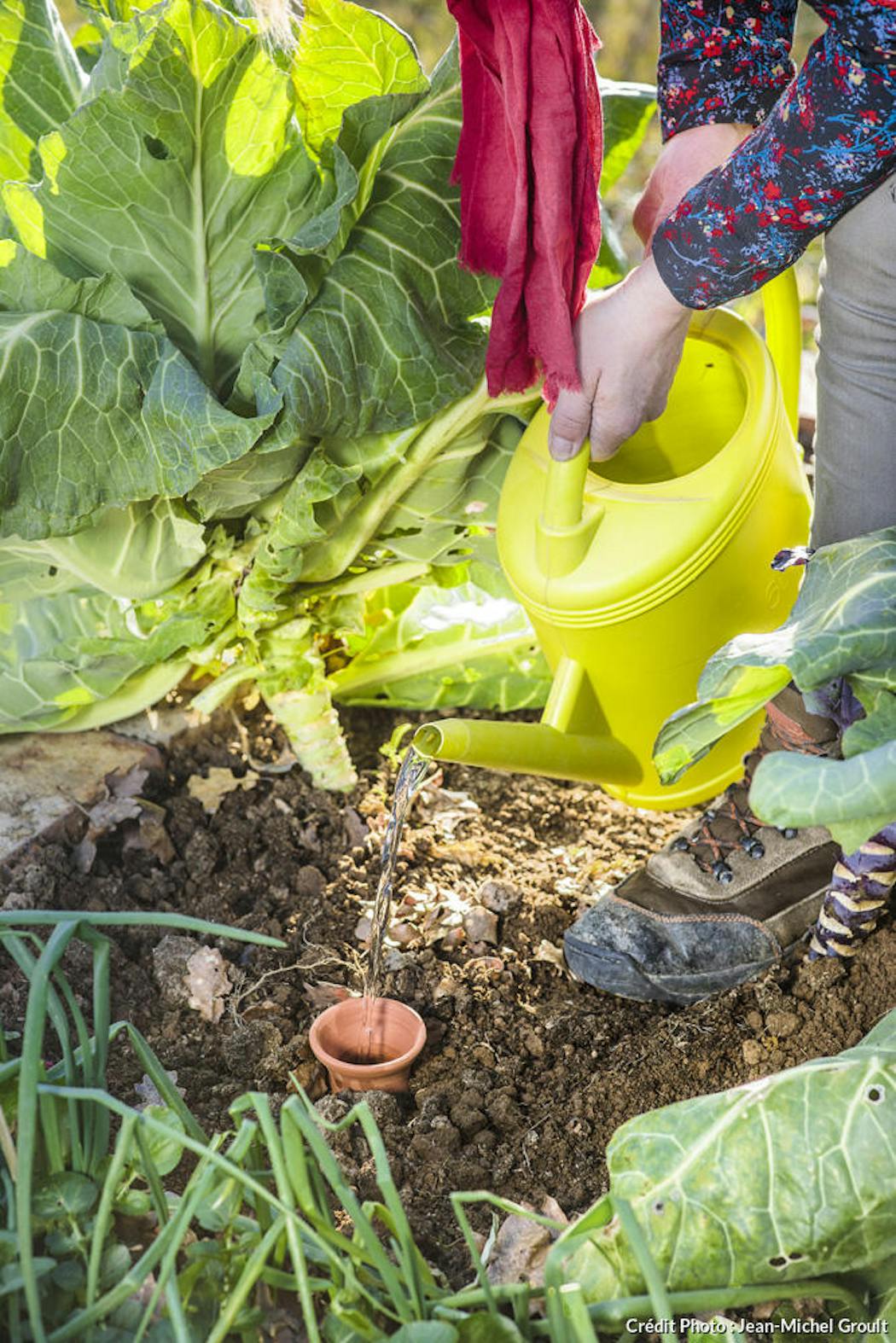Oyas : Comment économiser l'eau au jardin pour pas cher