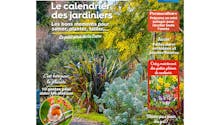 Le magazine Détente Jardin de janvier-février 2021 est en kiosque