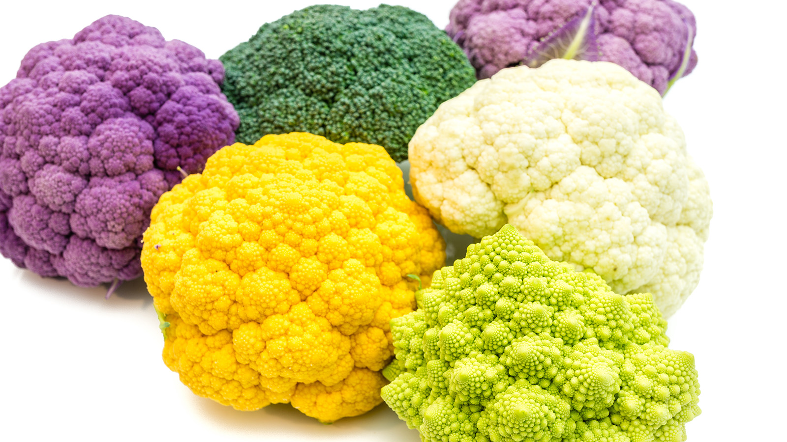 Comment cultiver le choufleur ? Détente jardin — free download