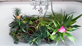 Comment soigner ses plantes d'intérieur en hiver